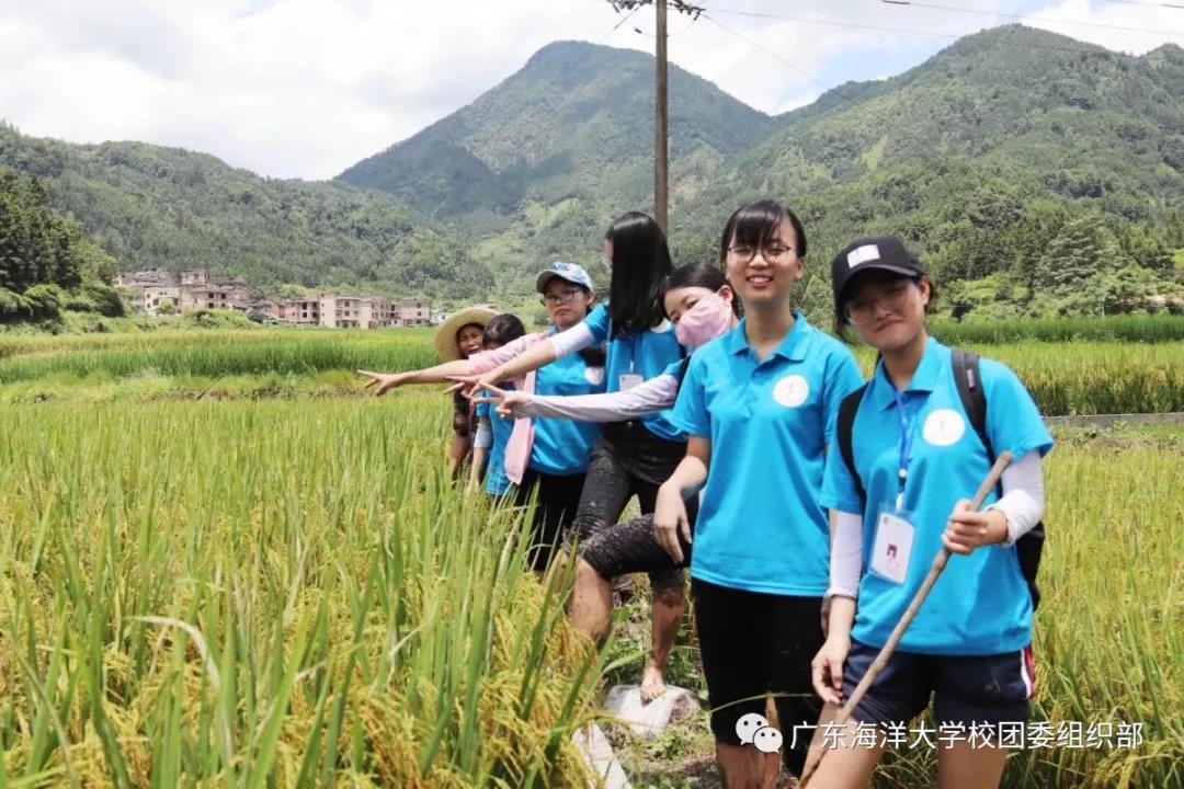 伟德国际1946源于英国